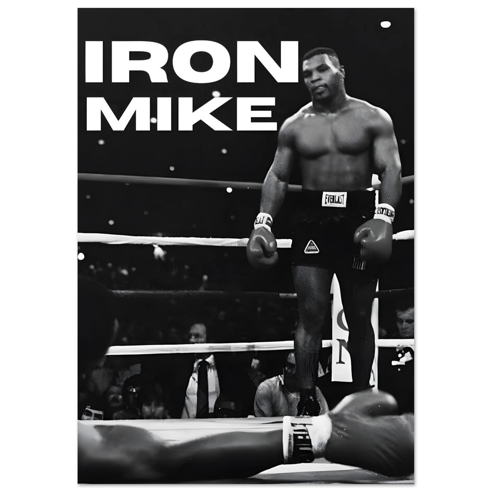 322172d2-7f56-4fff-a032-f13493d527a6