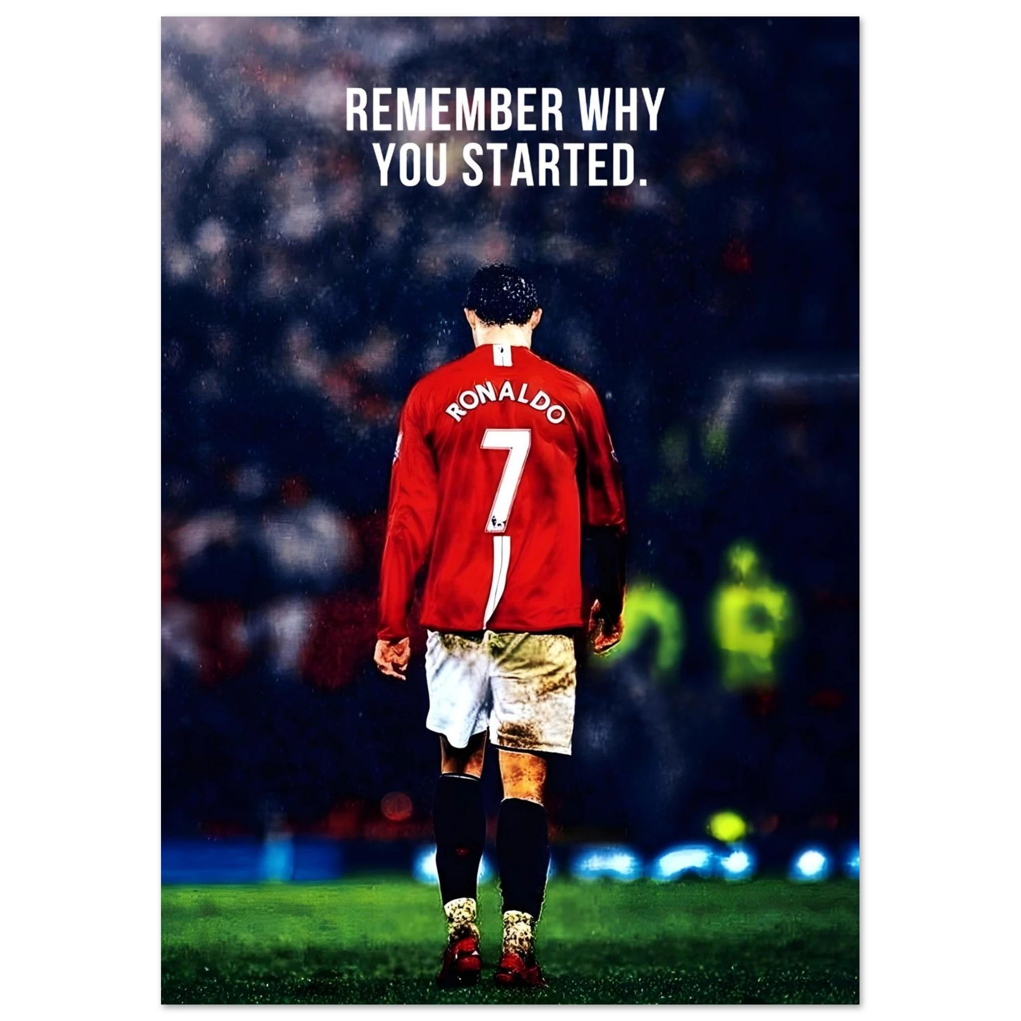 8c5076b6-0eb4-4870-8131-21d09ff19548