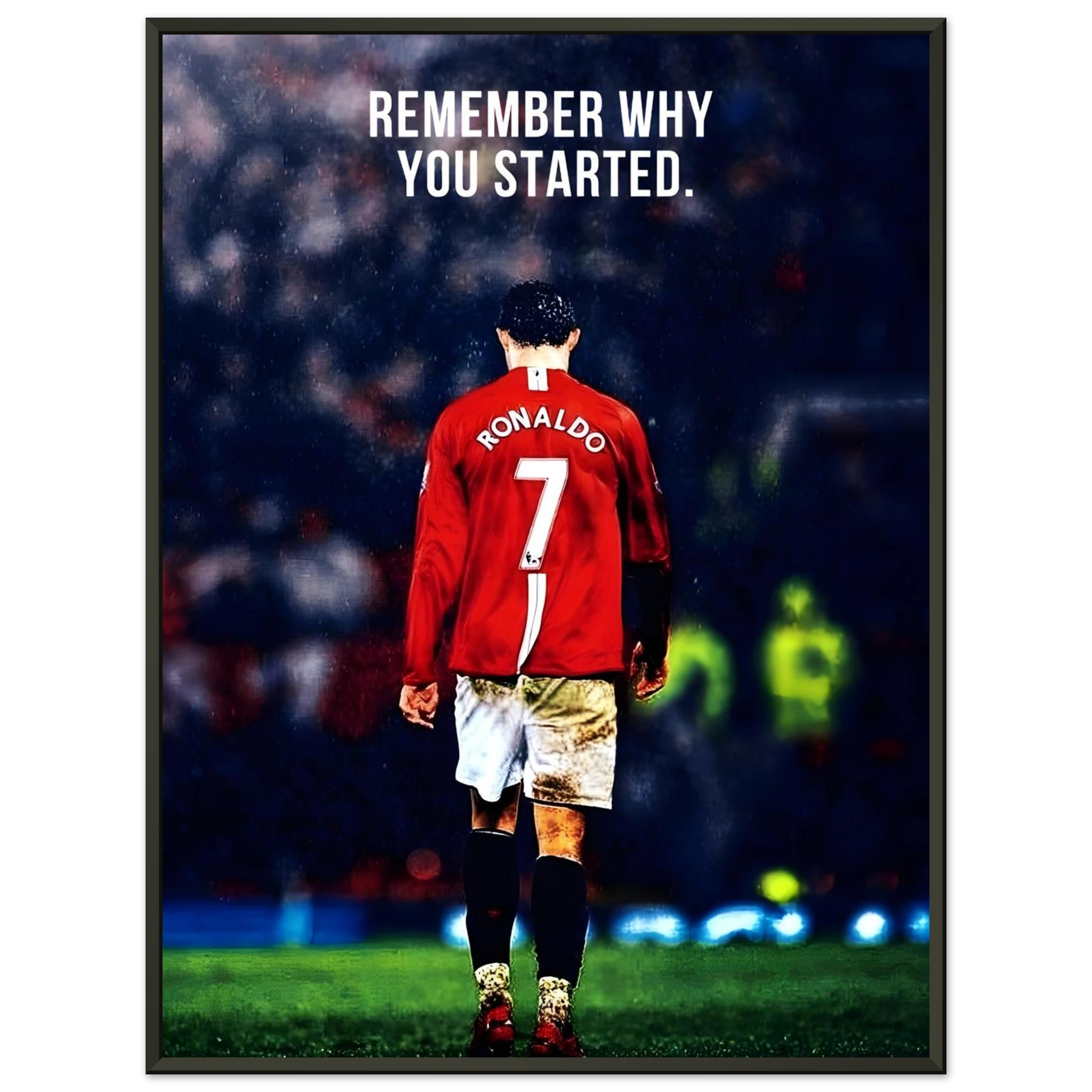 8e630502-13f6-42d4-a19d-de6868b65f20