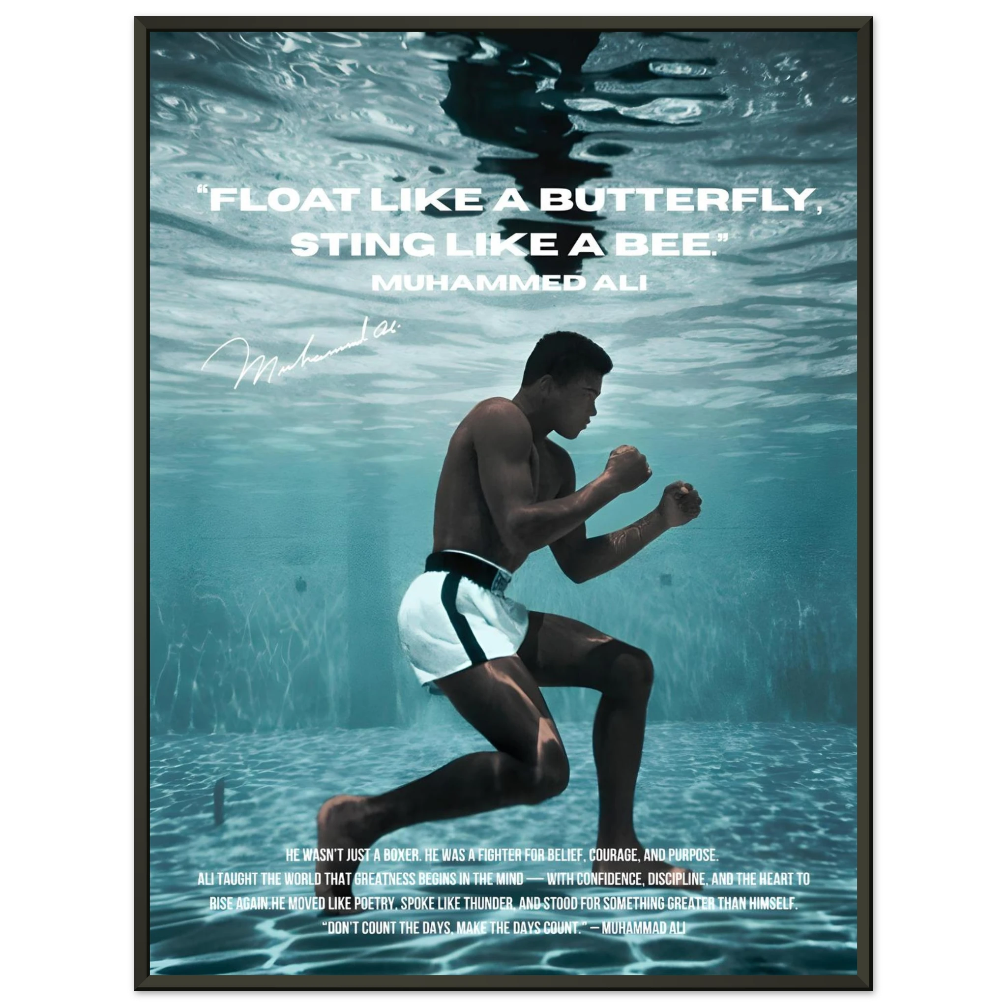 b01ba04b-d64a-4e46-a427-097880315ceb